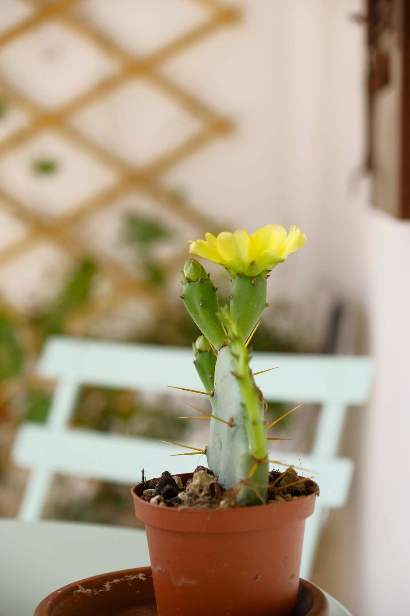 Villafrati Casa Donna Pippina 아파트 외부 사진